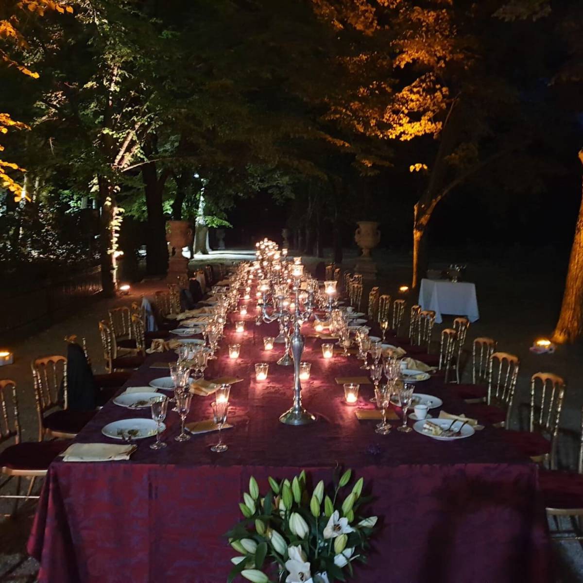 Table Royale pour un dîner Royal