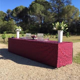 Cocktails dans le parc 