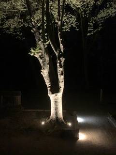 Les essais d éclairage de notre nouvelle salle a manger du bassin