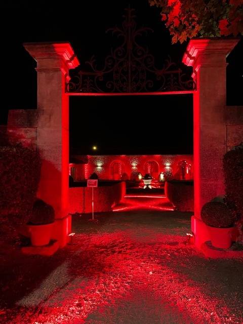 Portail en feux ROUGE couleur Logo