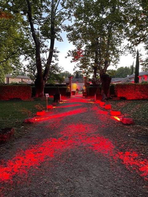 Tapis rouge lumineux