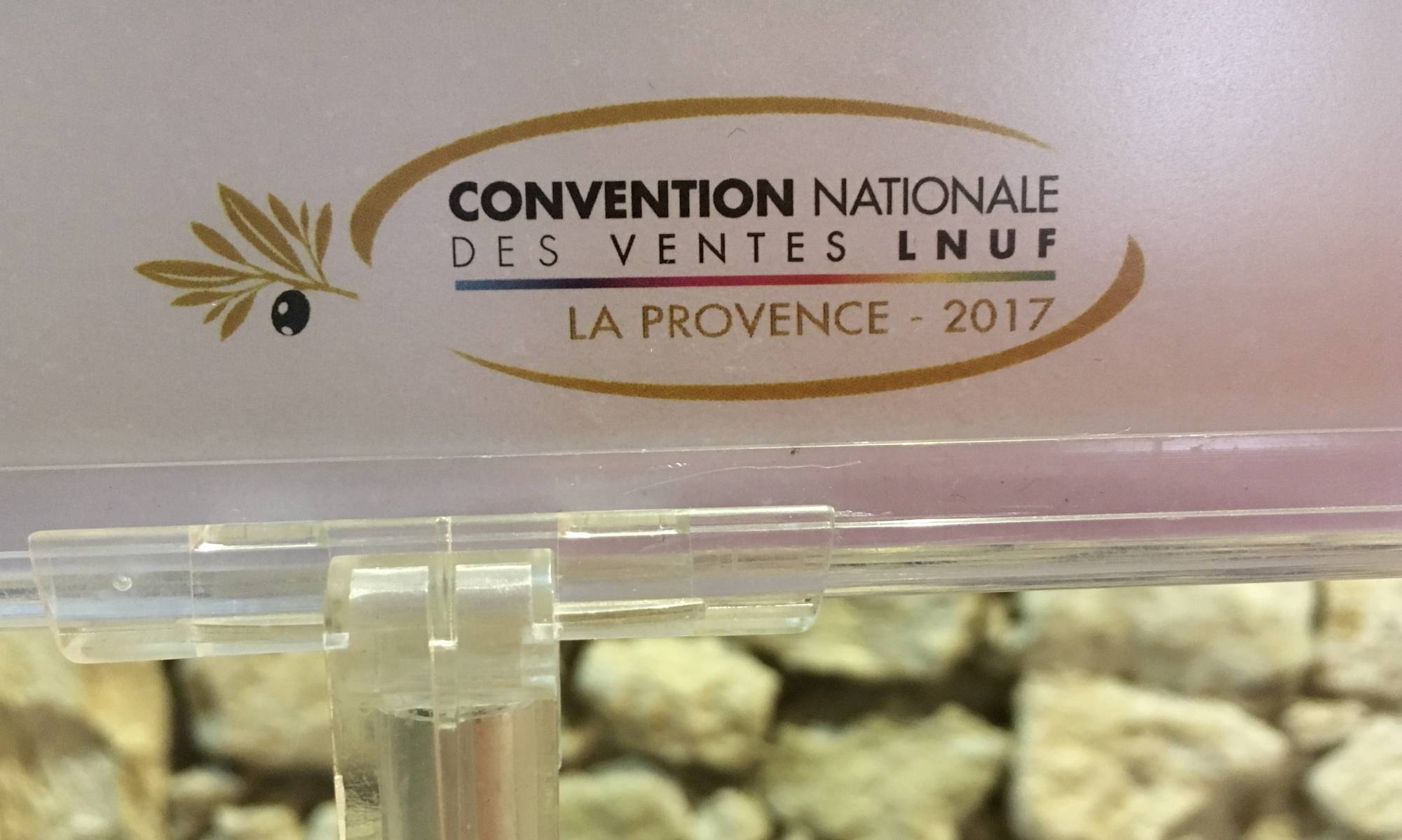 convention organisée par l'agence MANDREGO