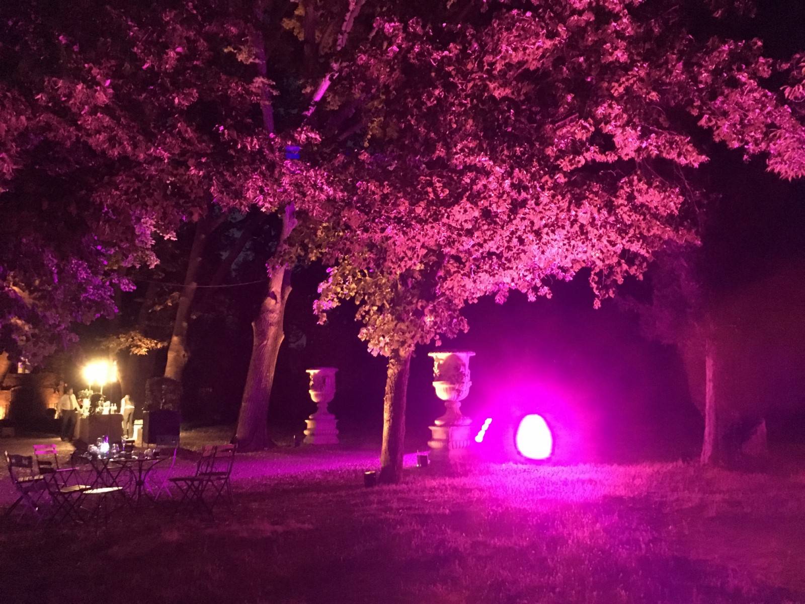 mise en lumière du parc