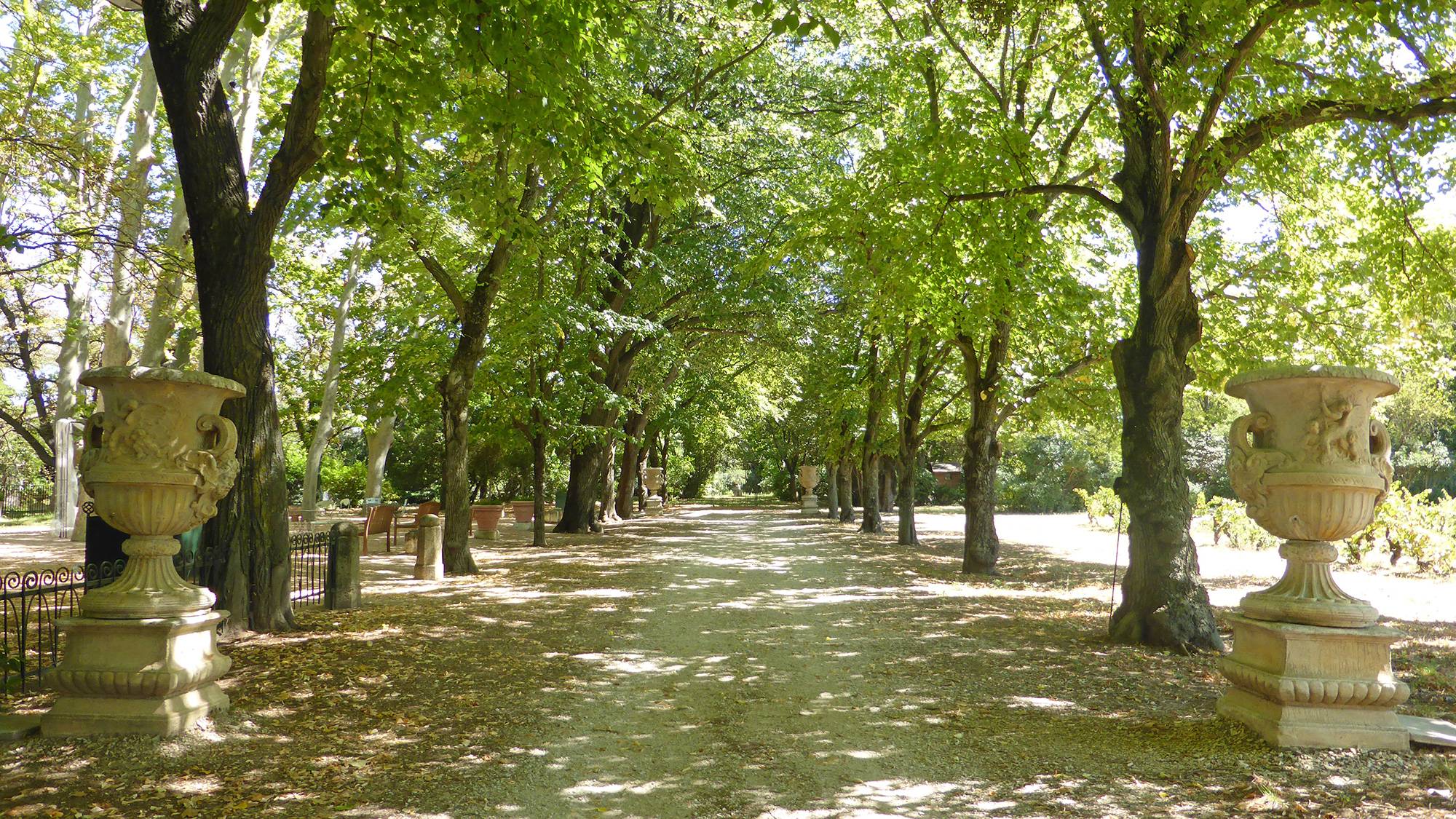Lancement de la Nouvelle RENAULT ESPACE dans le sud de la France