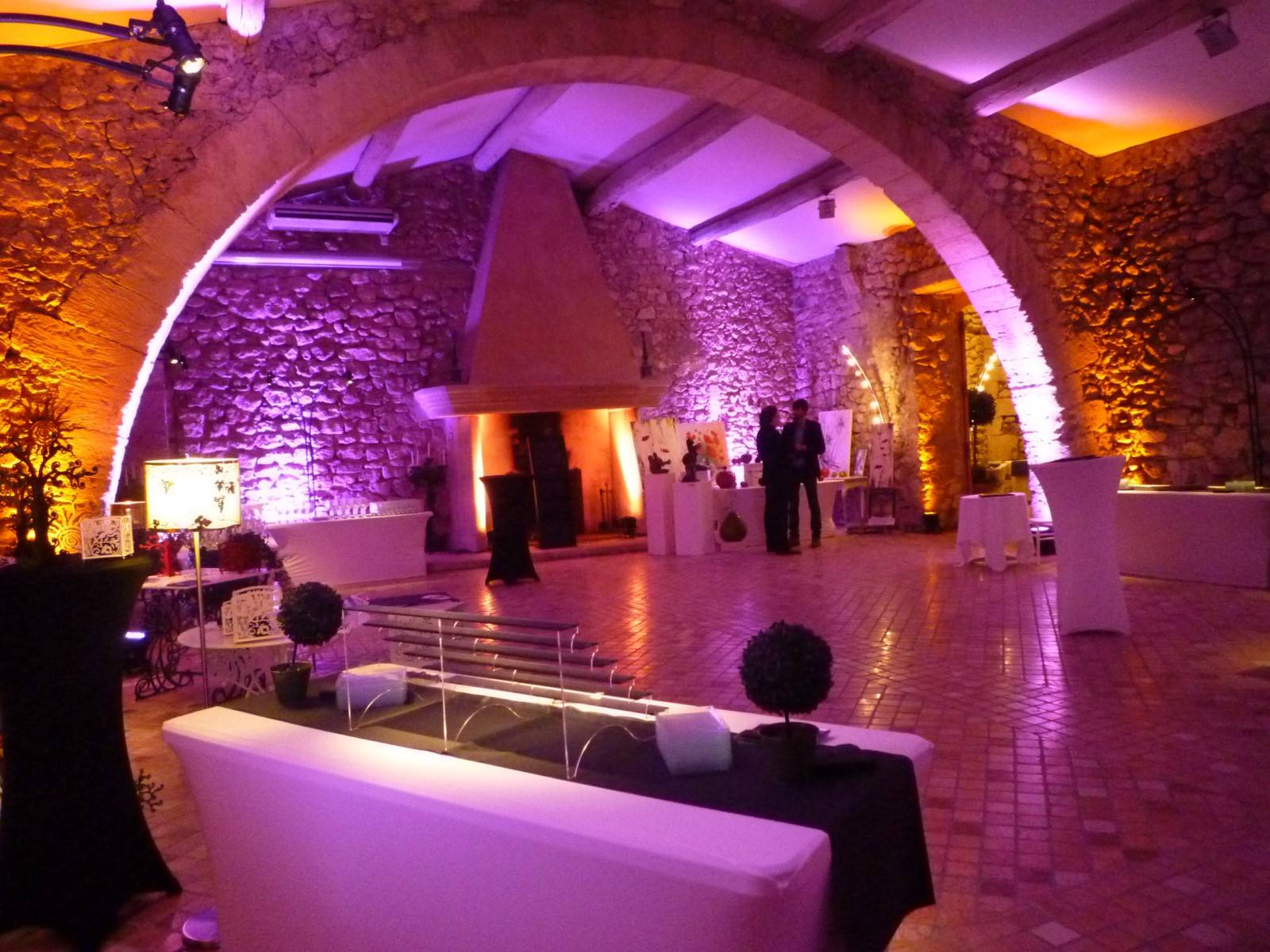 eclairage festif pour soirée dansante