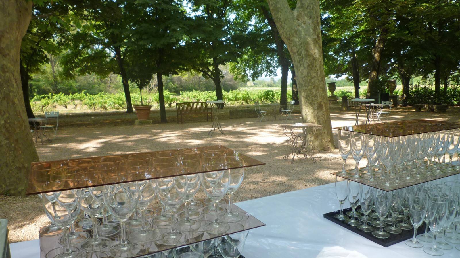 Cocktail dans le Parc Sous les ombrages