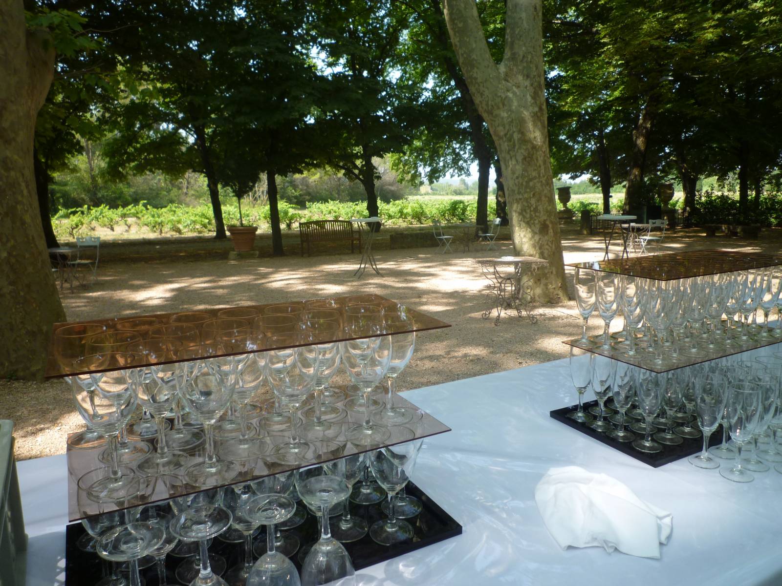 Déjeuners dans le Parc